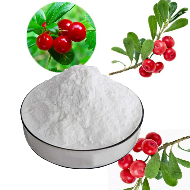 Benefits of Alpha Arbutin powder